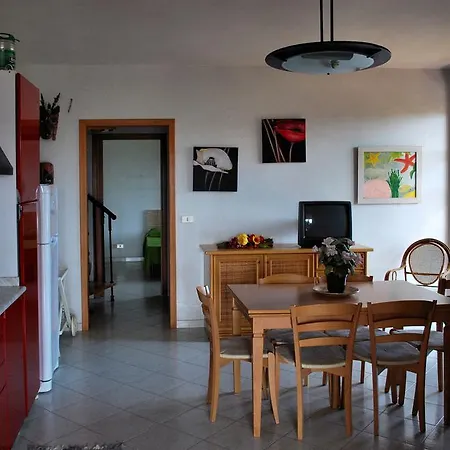 Apartment Paradise *
